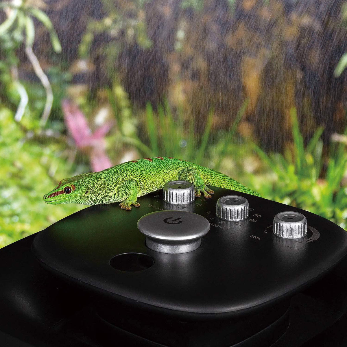 Why Do Some Pet Reptiles Need Humidity? REPTI ZOO