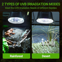 Load image into Gallery viewer, REPTI ZOO UVB Reptile Light with Dimming, UVB Reptile Heat Lamp with Controller, Adjustable UVB LED Basking Heat Bulb Fixture for Rainforest & Desert Reptiles Terrariums Tank