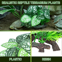 Load image into Gallery viewer, REPTI ZOO Reptile Plants, White Scindapsus Aureus Artificial Terrarium Plants, Resin Base Reptile Hide Fake Plants for Bearded Dragon Gecko Ball Python Snake Turtles Hermit Crab