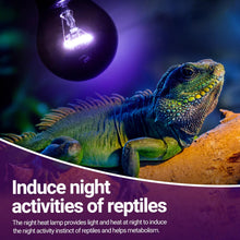 Load image into Gallery viewer, 2PCS Purple Reptile Night Heat Lamp, 50W Moonlight Heat Bulb Infrared Heating Lamp for Bearded Dragon, Lizard, Snake, Turtle