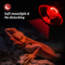 Load image into Gallery viewer, REPTIZOO 75W Reptile Heat Lamp, 2PCS Day & Night Heating Lamp Combo Pack, Infrared Heat Emitter Red Heat Lamp and UVA Daylight Basking Spot Light Heating Lamp