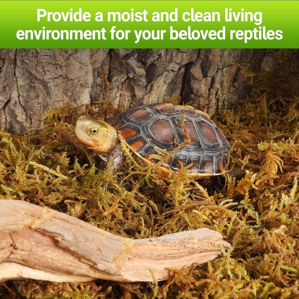 REPTI ZOO 7OZ Sphagnum Moss for Reptiles, 200g Natural Moss Substrate for Reptile & Amphibian | Terrarium Tank Forest Moss Bedding for Snakes, Turtles, Frog, Hermit Crab