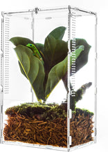 Load image into Gallery viewer, Large Tarantula Enclosure Spider Enclosure 14" X 8" X 6", 2 in 1 Acrylic Aboreal Breeding Box