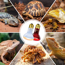 Load image into Gallery viewer, REPTIZOO 75W Reptile Heat Lamp, 2PCS Day & Night Heating Lamp Combo Pack, Infrared Heat Emitter Red Heat Lamp and UVA Daylight Basking Spot Light Heating Lamp