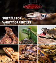 Load image into Gallery viewer, REPTI ZOO 100W Reptile Heat Lamp 2Pack Ceramic Heat Emitter Night Heat