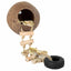 Crested gecko on wooden ladder, coconut reptile hideout, and rubber tire decoration