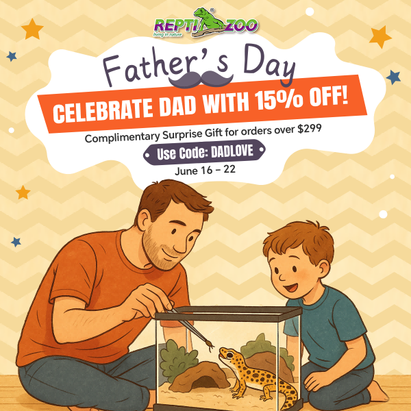 Bearded dragon uvb light – REPTI ZOO