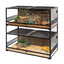 Stacked glass reptile terrariums with naturalistic background, plants, and lizard décor.