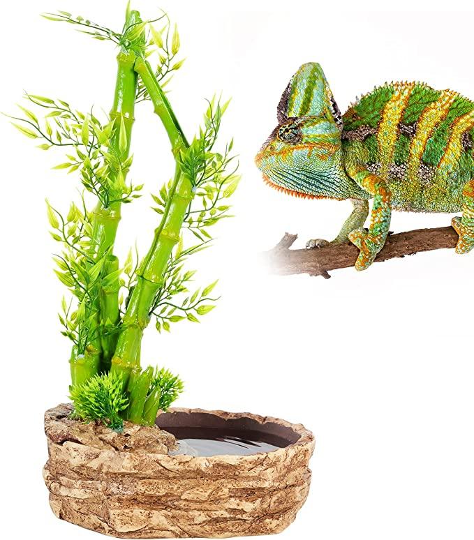 thumbnail image 2 of Reptile Water Dispenser Automatic Chameleon Drinking Fountain Water 2 of 11