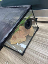Load image into Gallery viewer, REPTI ZOO 3pcs cable passes parts for the side of the reptizoo glass terrariums - REPTI ZOO