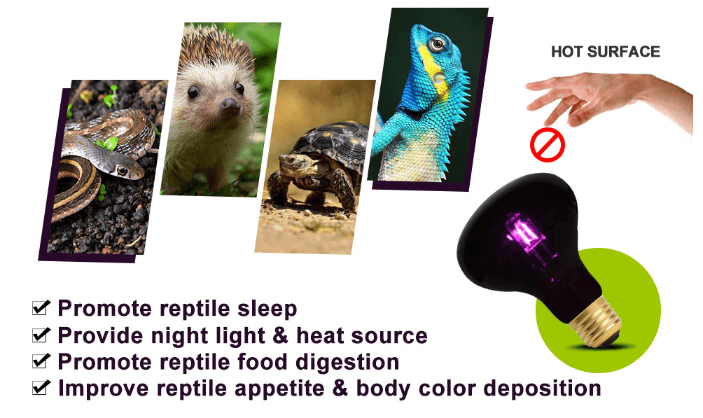 REPTIZOO 75W Night Heat Lamp Bulb Moonlight Light Glass Heating Lamps Bulbs - REPTI ZOO