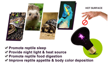 Load image into Gallery viewer, REPTIZOO 75W Night Heat Lamp Bulb Moonlight Light Glass Heating Lamps Bulbs - REPTI ZOO