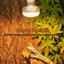 Load image into Gallery viewer, REPTI ZOO 2PCS 100W Reptile Heat Lamp Sunlight UVA Lighting Heating Lamp FCB100 - REPTI ZOO