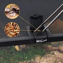 Load image into Gallery viewer, REPTIZOO 6 Gallon 20" x 12" x 6" Glass Reptile Terrarium with Top Feeding Reptile Habitat for Reptile Amphibians Snake Spider RAK08SG - REPTI ZOO