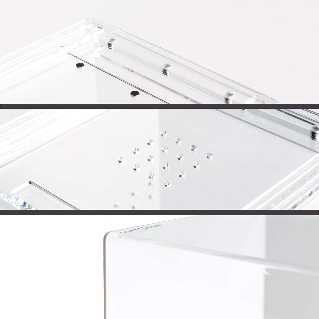 REPTI ZOO 1.4 Gallon 6“x6”x9“ Magnetic Acrylic Case - REPTI ZOO