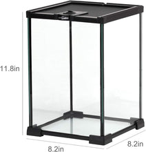 Load image into Gallery viewer, REPTIZOO Mini Reptile Glass Terrarium Tank 8" x 8" x 12" Full View Visually Appealing Top Feeding & Venlitation Small Reptile Glass Habitat - REPTI ZOO