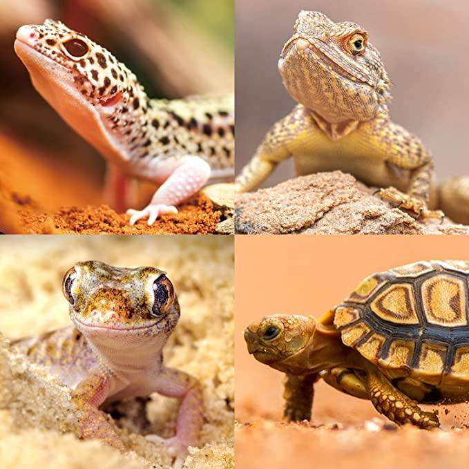 REPTIZOO Reptile Hide Cave Resin Moisture Keeping Reptile Cave EHR29 - REPTI ZOO