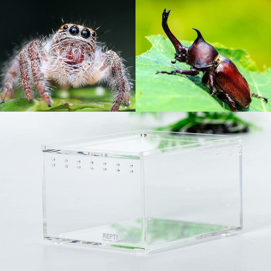 REPTI ZOO 0.15 Gallon 4.1"x3.3"x2.5" Magnetic Acrylic Case, Nano Enclosure Reptile Breeding Box - REPTI ZOO