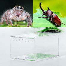 Load image into Gallery viewer, REPTI ZOO 0.15 Gallon 4.1"x3.3"x2.5" Magnetic Acrylic Case, Nano Enclosure Reptile Breeding Box - REPTI ZOO