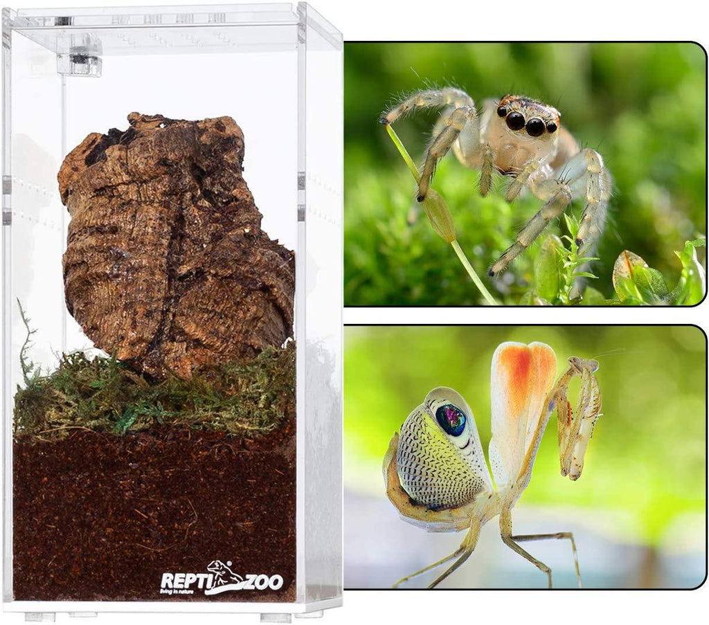 REPTI ZOO Magnetic Acrylic Reptile Breeding Box 3"x3"x6" Transparent Feeding Box - REPTI ZOO