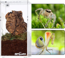 Load image into Gallery viewer, REPTI ZOO Magnetic Acrylic Reptile Breeding Box 3"x3"x6" Transparent Feeding Box - REPTI ZOO