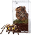 REPTI ZOO Magnetic Acrylic Reptile Breeding Box 3"x3"x6" Transparent Feeding Box - REPTI ZOO