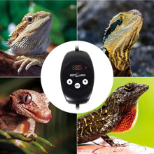 Load image into Gallery viewer, REPTIZOO Digital Temperature Controller Smart Dimming Thermostat Controller TC02 - REPTI ZOO