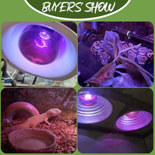 Load image into Gallery viewer, REPTIZOO 75W Night Heat Lamp Bulb Moonlight Light Glass Heating Lamps Bulbs - REPTI ZOO