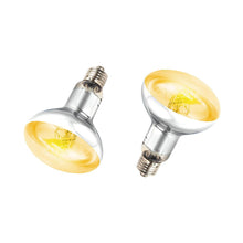Load image into Gallery viewer, REPTI ZOO Reptile 2PCS Heat Lamp Full Spectrum UVA UVB Reptile Sun Lamp for Reptile pets - REPTI ZOO