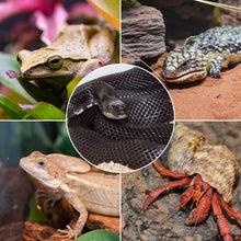 Load image into Gallery viewer, REPTIZOO Reptile 2PCS 110V 75W Night Infrared Heating Spot Lamp for Reptile Pet - REPTI ZOO
