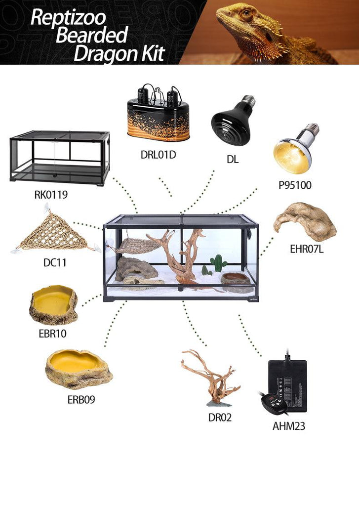 REPTIZOO bearded dragon starter kit - REPTI ZOO