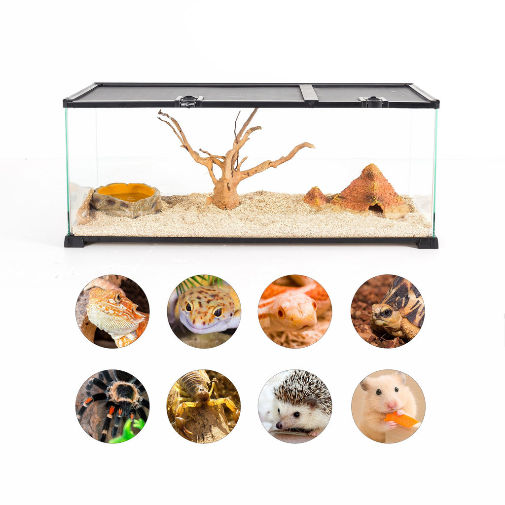 REPTI ZOO 18 Gallon Reptile Enclosures With Double Top Covers And Glass Sides - REPTI ZOO