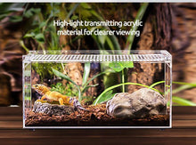 Load image into Gallery viewer, REPTI ZOO 9 Gallon 22″*8″*11″ Acrylic Compart Reptile Breeding Terrarium ACR42DG - REPTI ZOO