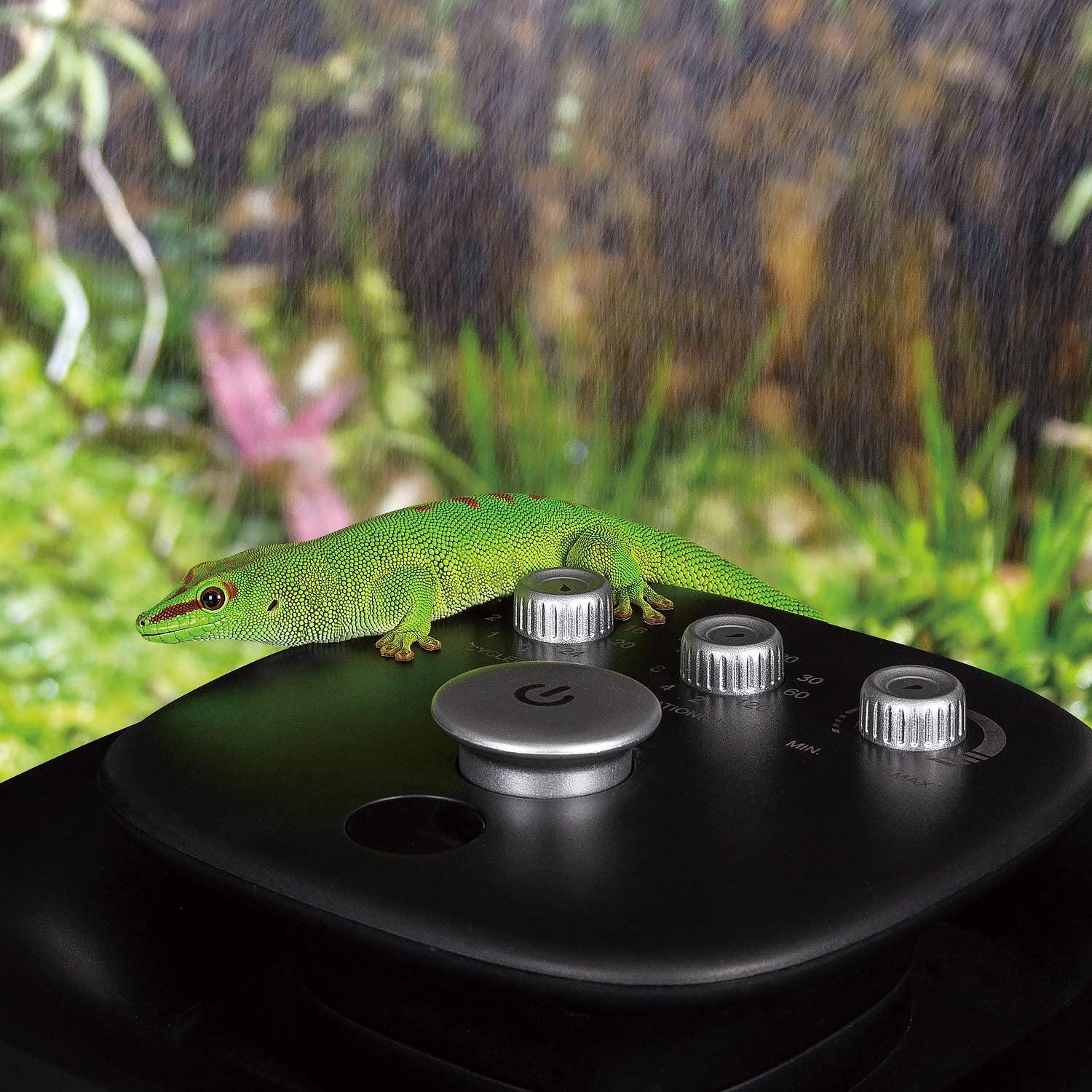 Why Do Some Pet Reptiles Need Humidity? - REPTI ZOO