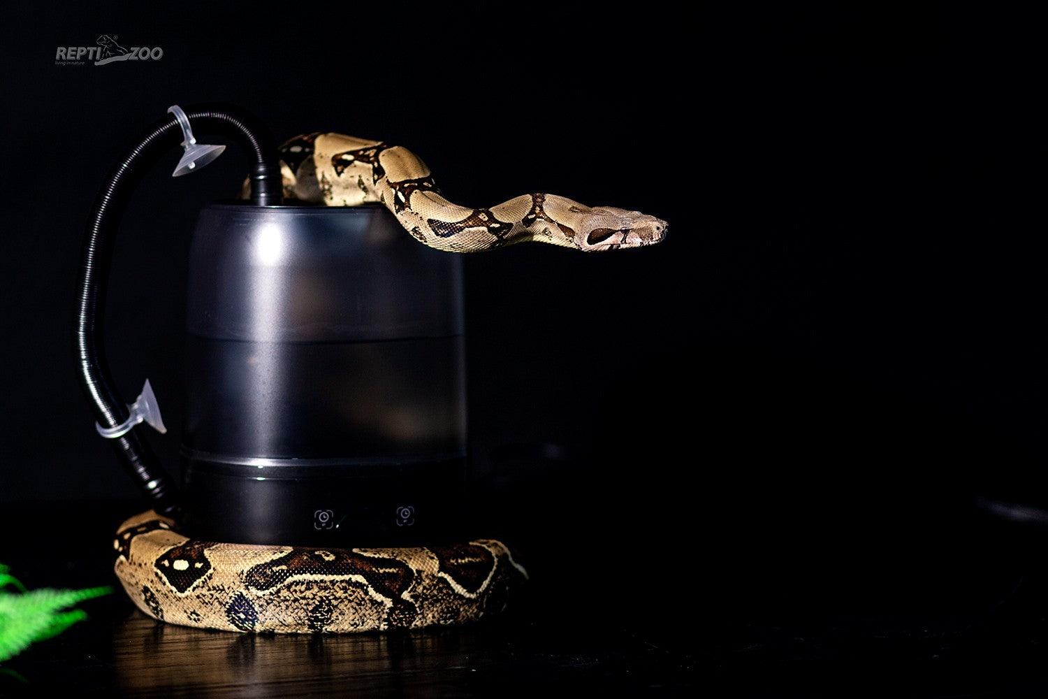 Reptile Fogger and Reptile Mister: What Is the Difference? - REPTI ZOO