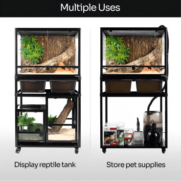 Bearded Dragon Habitat A Guide on the Best Reptile Tank Setup - REPTI ZOO
