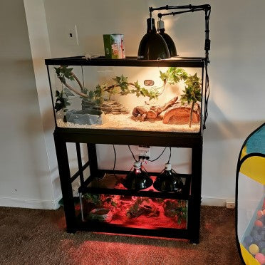 Dual reptile terrarium enclosure with heat lamps, UVB lighting, and natural habitat decor