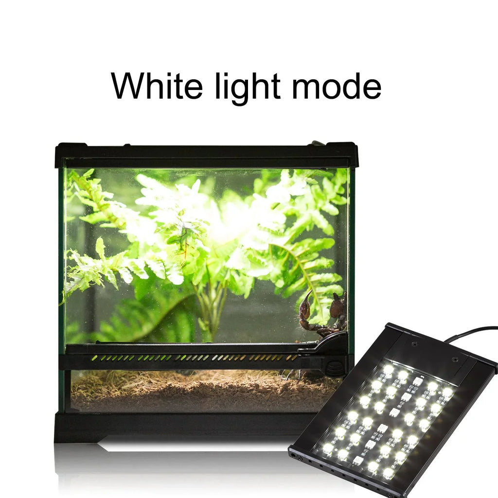 LED white light mode illuminating reptile terrarium with plants and substrate