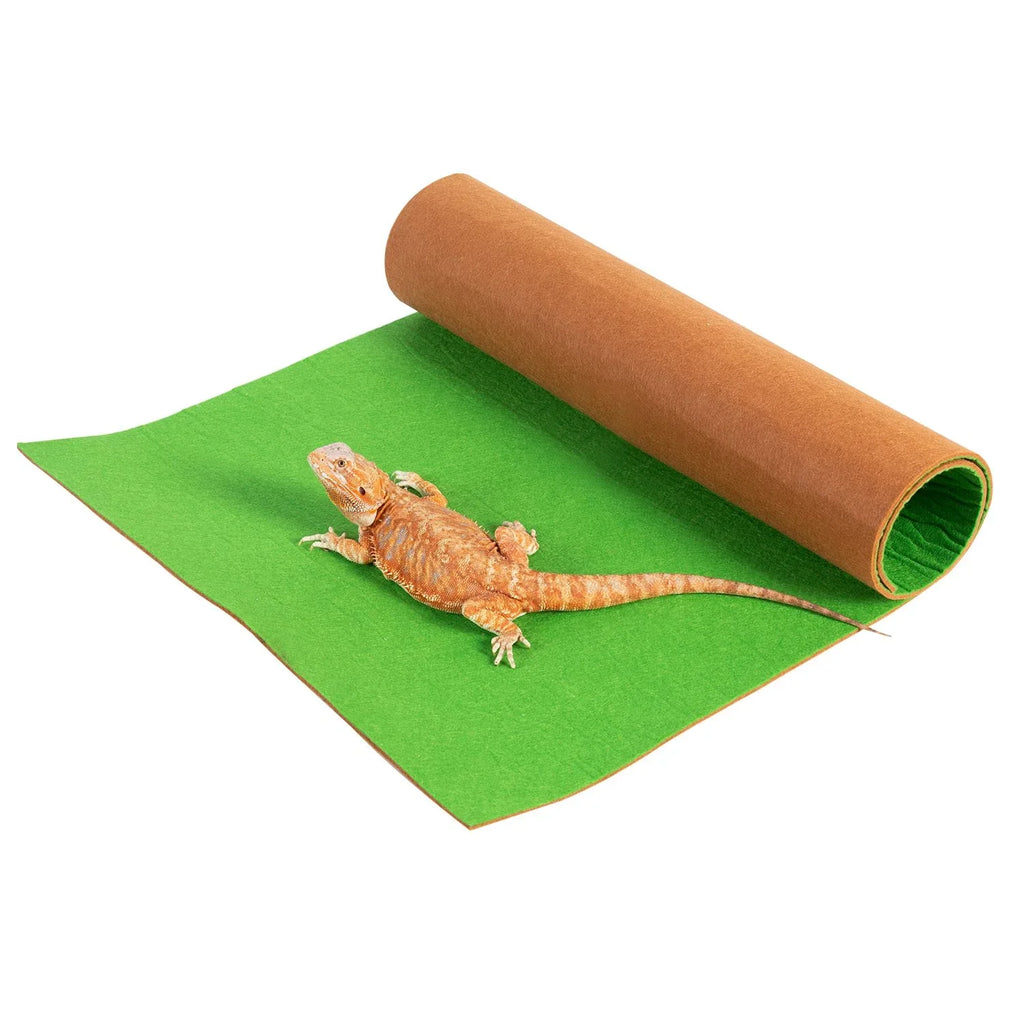 Bearded dragon on green reptile terrarium mat, habitat substrate roll.
