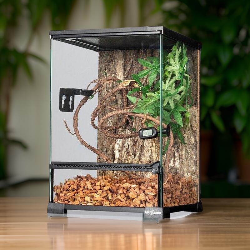 Glass reptile terrarium with natural bark background, branches, plants, and wood chip substrate.