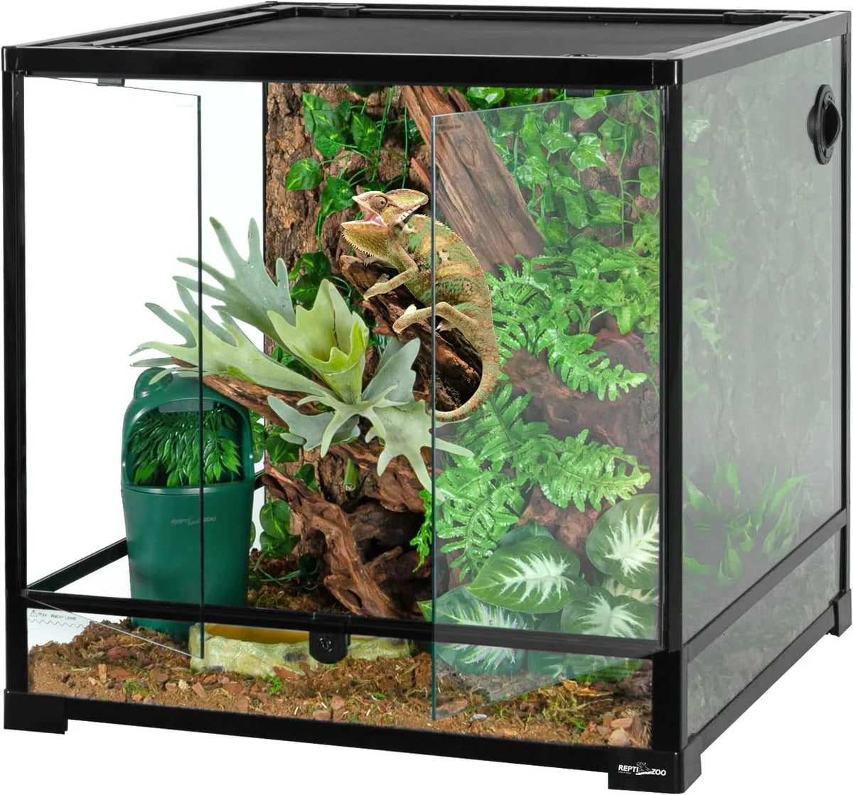 Glass reptile terrarium with plants, driftwood, and a chameleon inside a bioactive setup