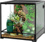 Glass reptile terrarium with plants, driftwood, and a chameleon inside a bioactive setup