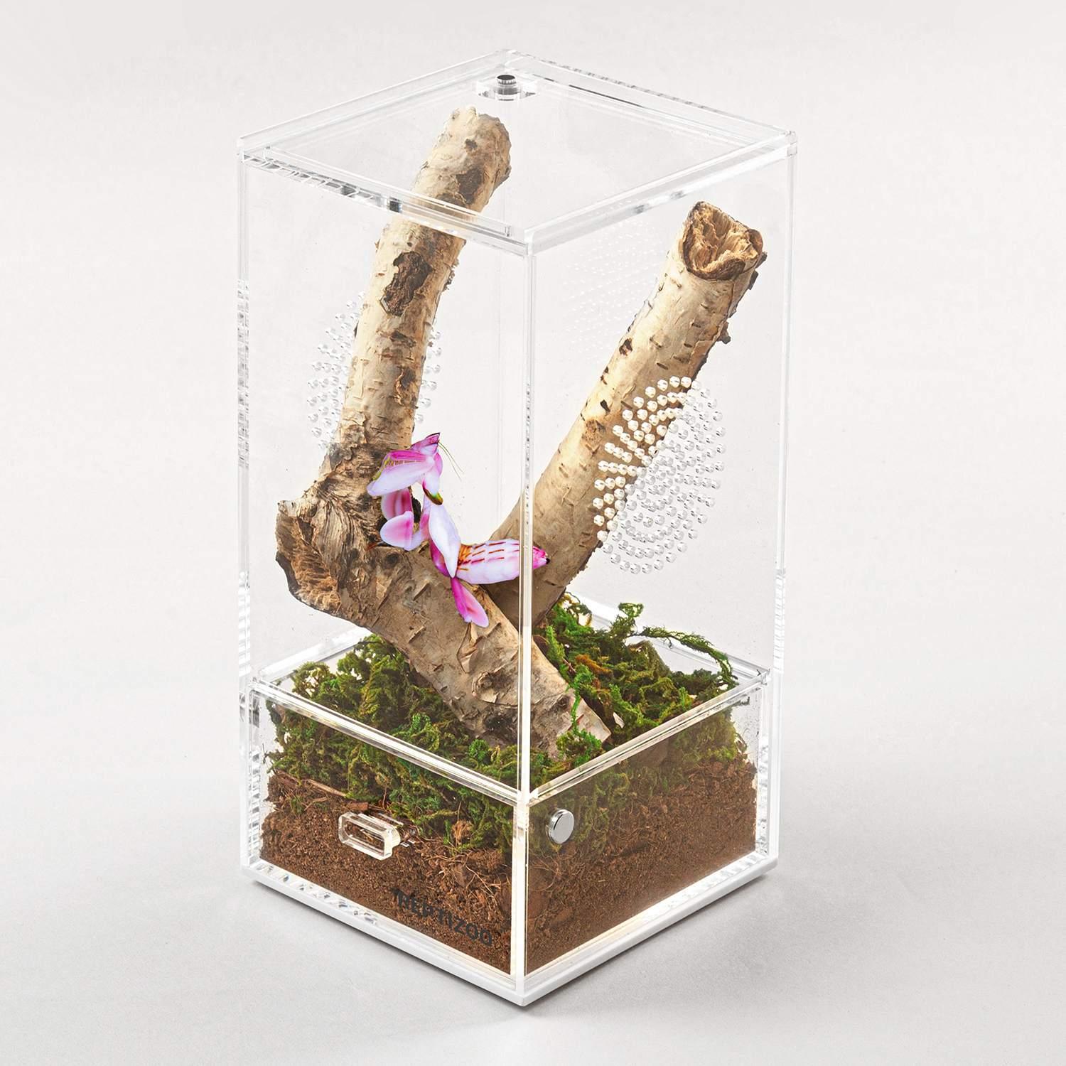 Clear acrylic reptile terrarium with orchid mantis on branch, moss substrate visible Main image