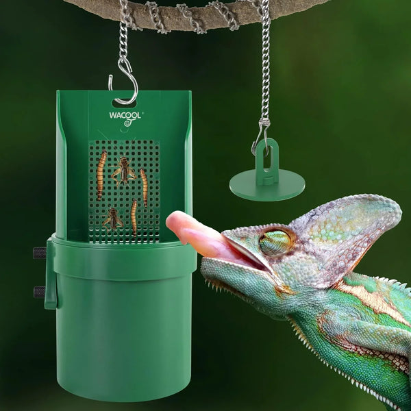 Chameleon eating insects from a green reptile feeder hanging in a terrarium setup
