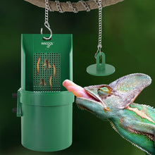 Load image into Gallery viewer, WACOOL Hanging Reptile Feeding Bowl with Grid Plate for Bugs Climbing &amp; Move, Arboreal Reptile Climbing Feeder Bowl for Feeding Chameleon, Lizard, Iguana, Gecko, Frog