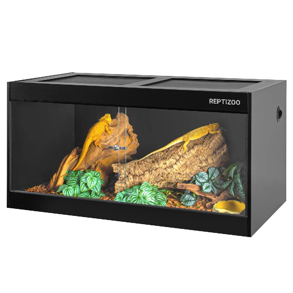 Glass reptile terrarium with black frame, climbing branches, artificial plants, and two lizards Main image