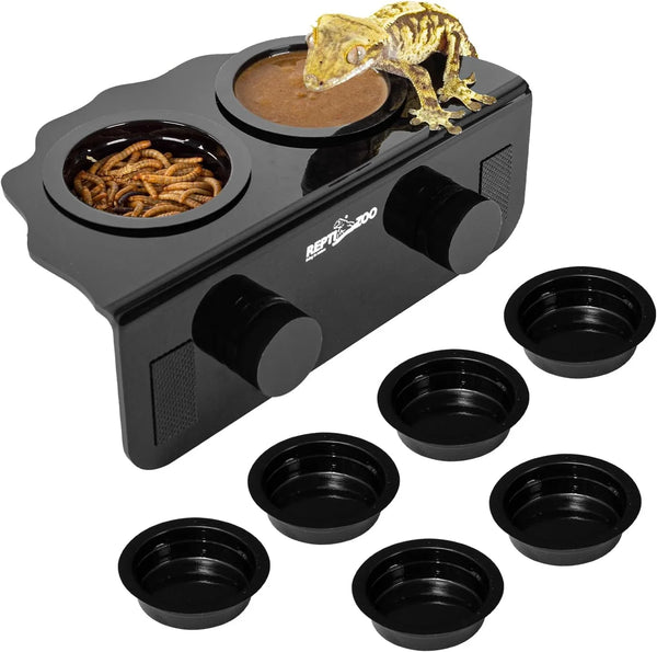 Reptile food and water dish station with gecko and removable black feeding cups