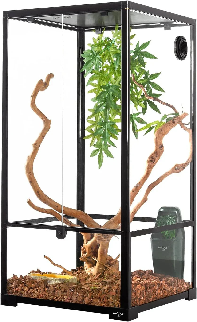Glass reptile terrarium with ventilation, climbing branches, artificial plant and wood chips substrate