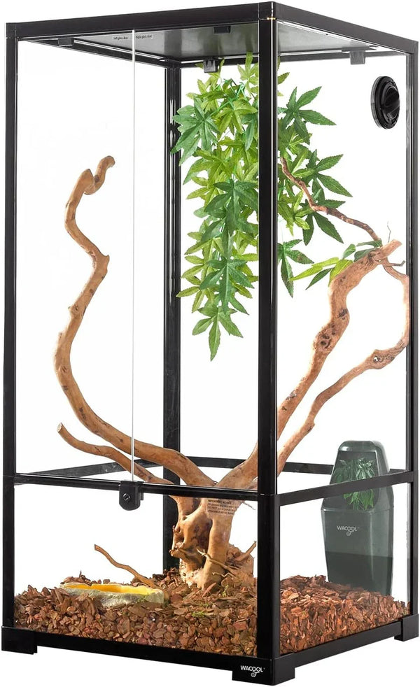 Glass reptile terrarium with ventilation, climbing branches, artificial plant and wood chips substrate