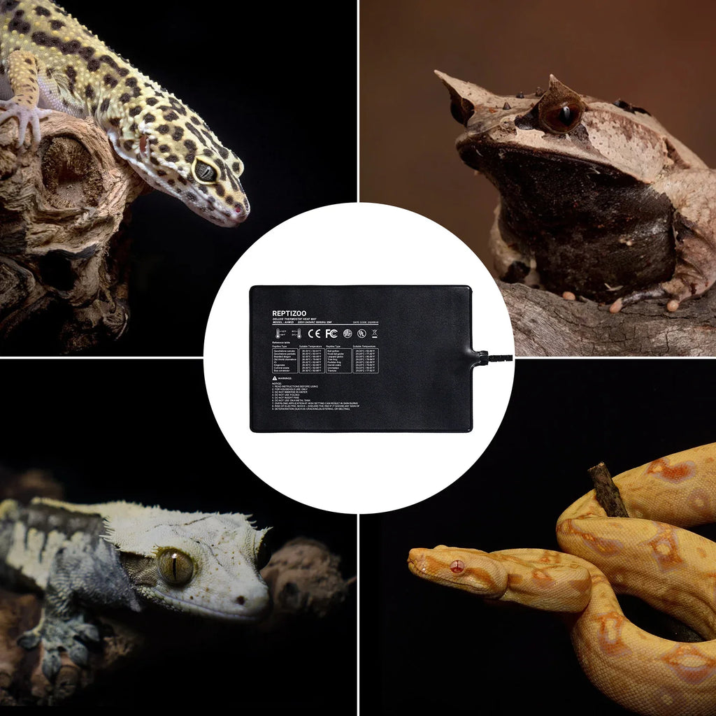 Reptile heat mat with gecko, snake, and frog against black background for terrarium use